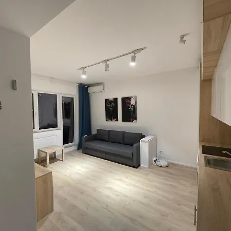Delight Luxury Palace Apartment *